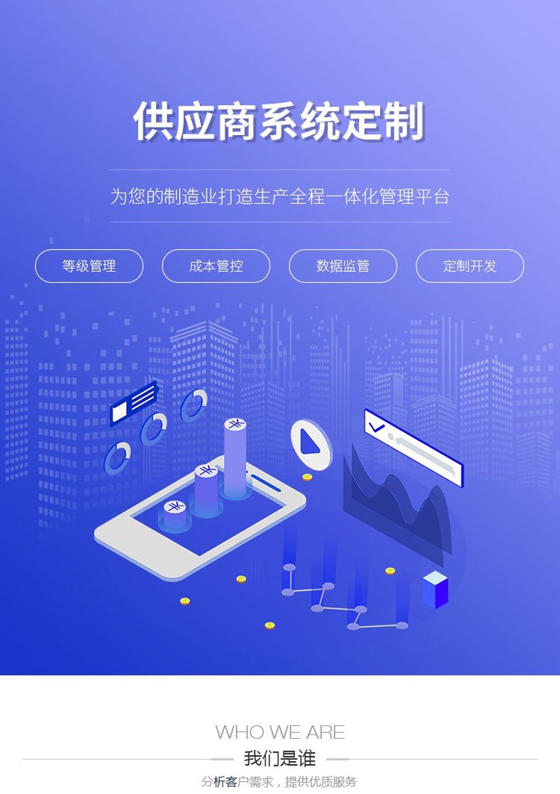 系统定制：引领企业信息化潮流